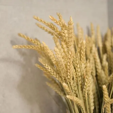 펜션 Bamboo House Syros No1 에르무폴리