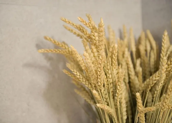 Vakantiehuis Bamboo House Syros No1 Ermoupoli